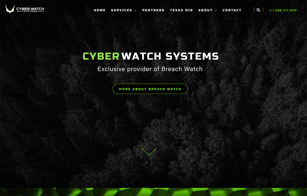 Cyber Watch Systems Home Pge